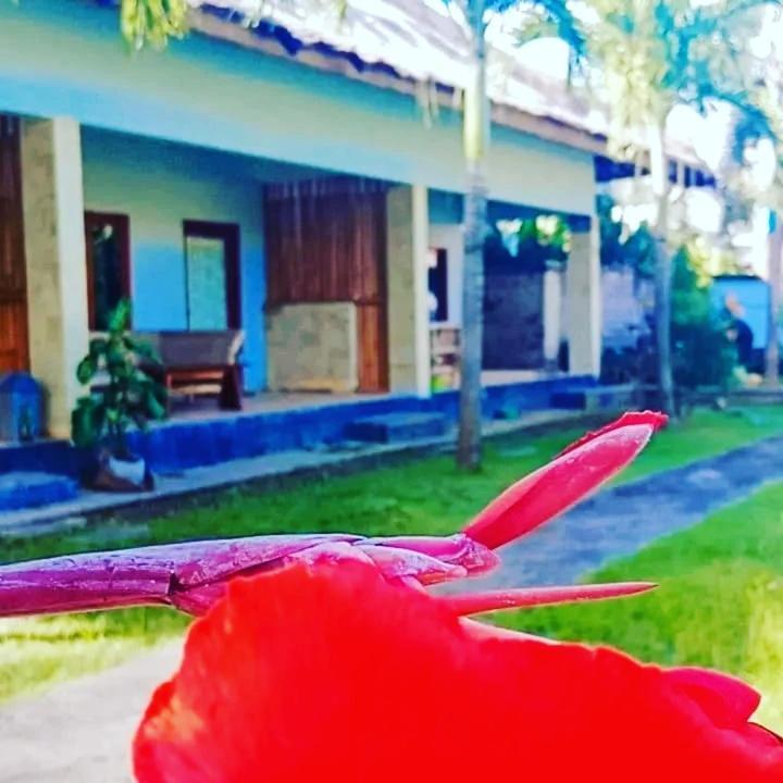Mengalung Bungalow Kuta  Zewnętrze zdjęcie