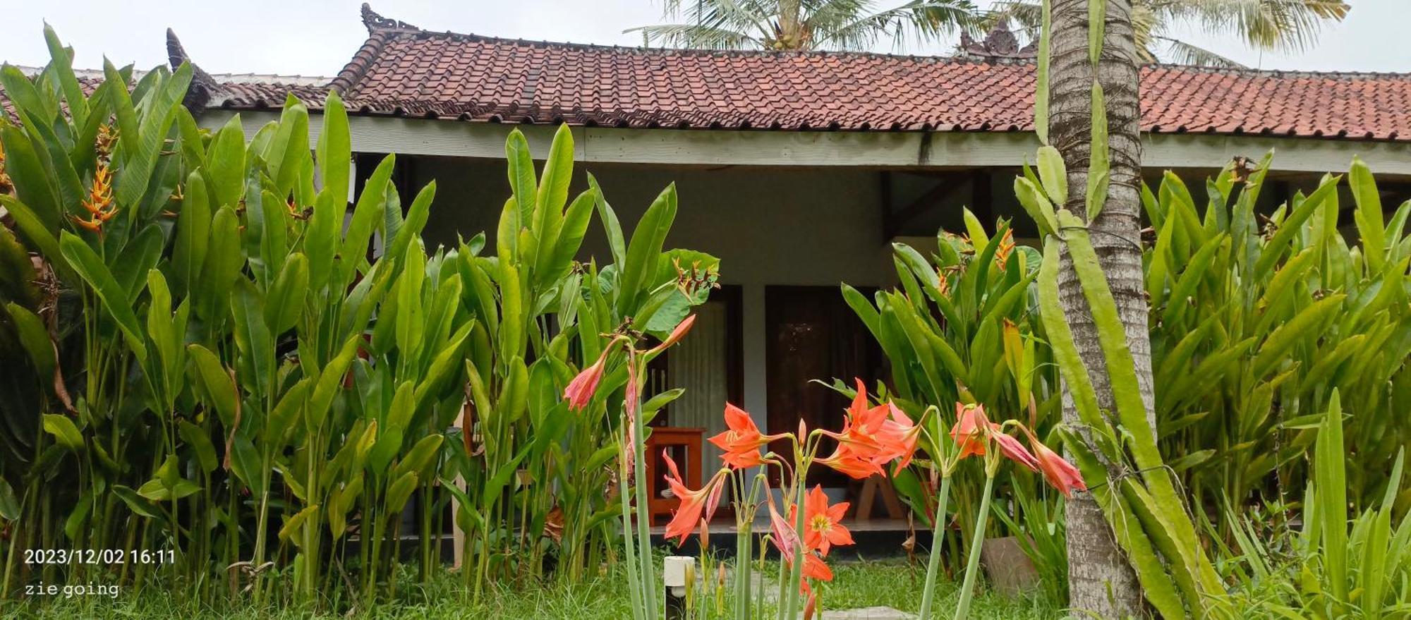 Mengalung Bungalow Kuta  Zewnętrze zdjęcie