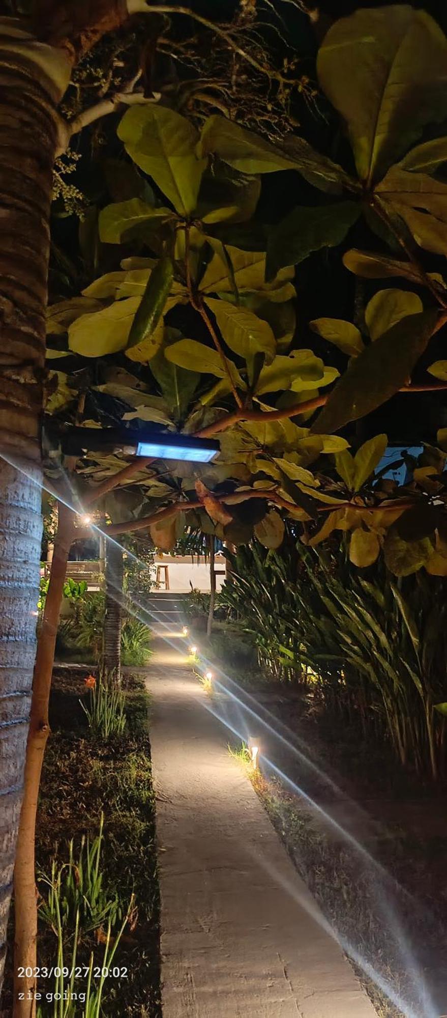 Mengalung Bungalow Kuta  Zewnętrze zdjęcie